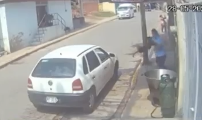 VIDEO | Muere lomito que fue arrojado a un cazo con manteca hirviendo