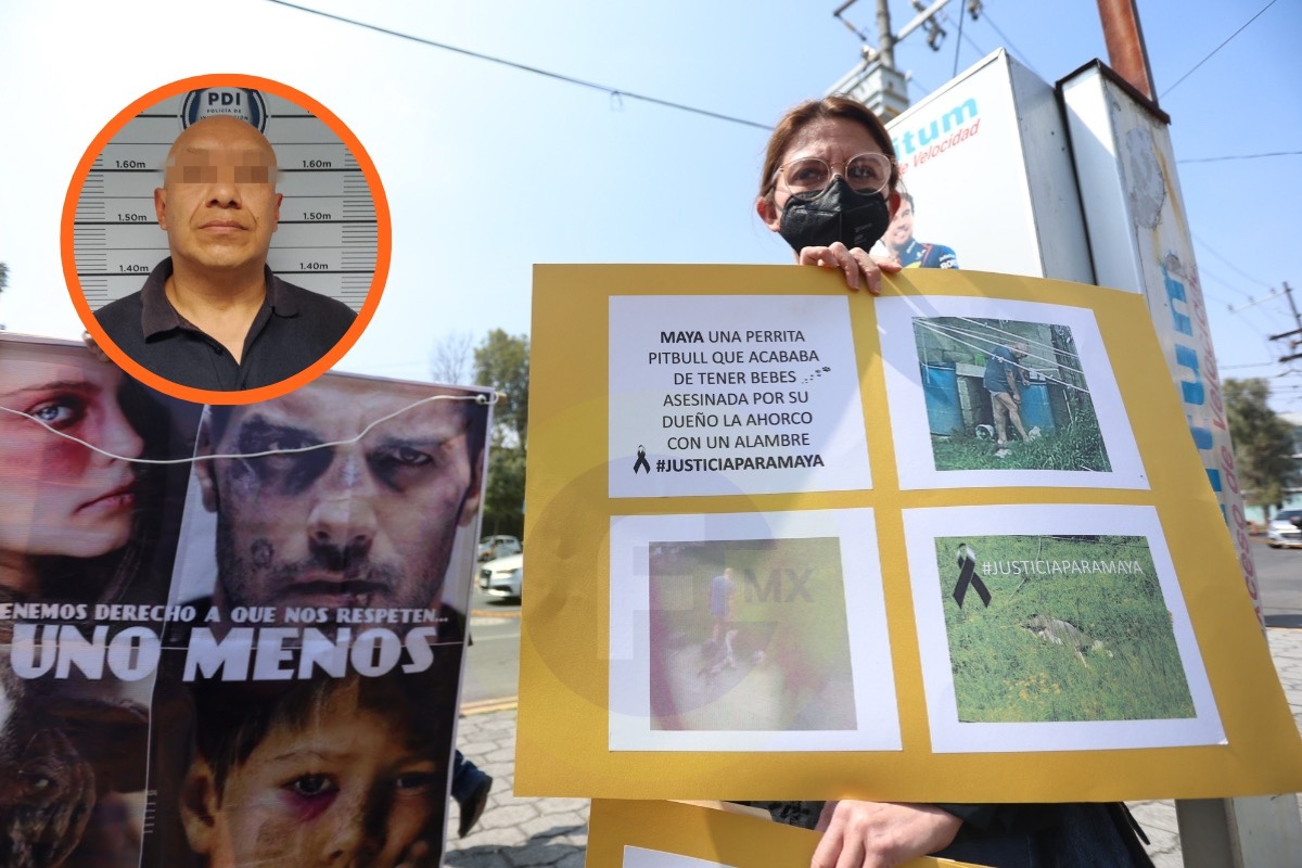 Detienen a agresor de la perrita Maya; exigen justicia