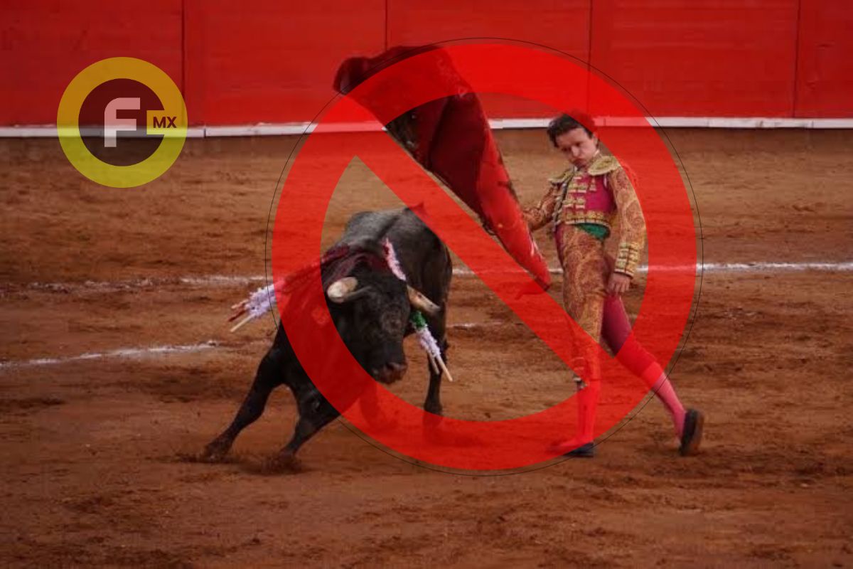 Tras protestas, prohiben corridas de toros en Metepec