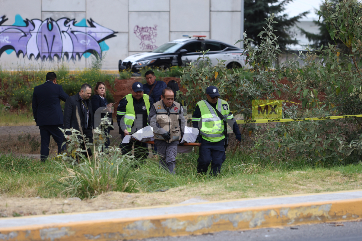 Mujer se arroja del Tren Interurbano en Lerma