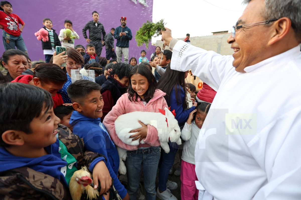 Piden protección para animales a San Antonio Abad en Ocoyoacac
