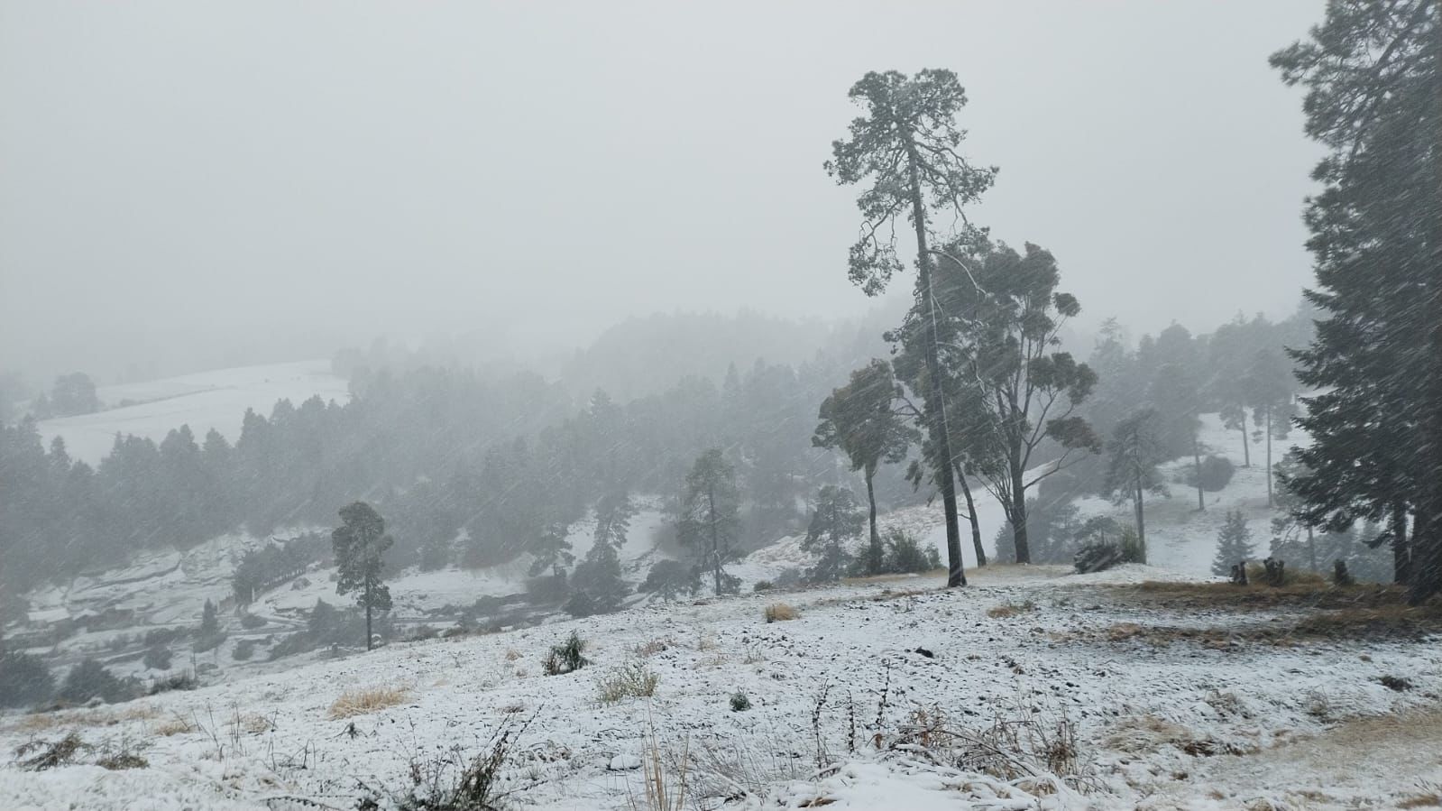 Nevada en zonas altas del Xinantécatl por frente frío 35. 