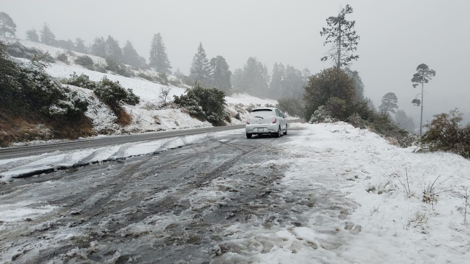 Nevada en zonas altas del Xinantécatl por frente frío 35. 