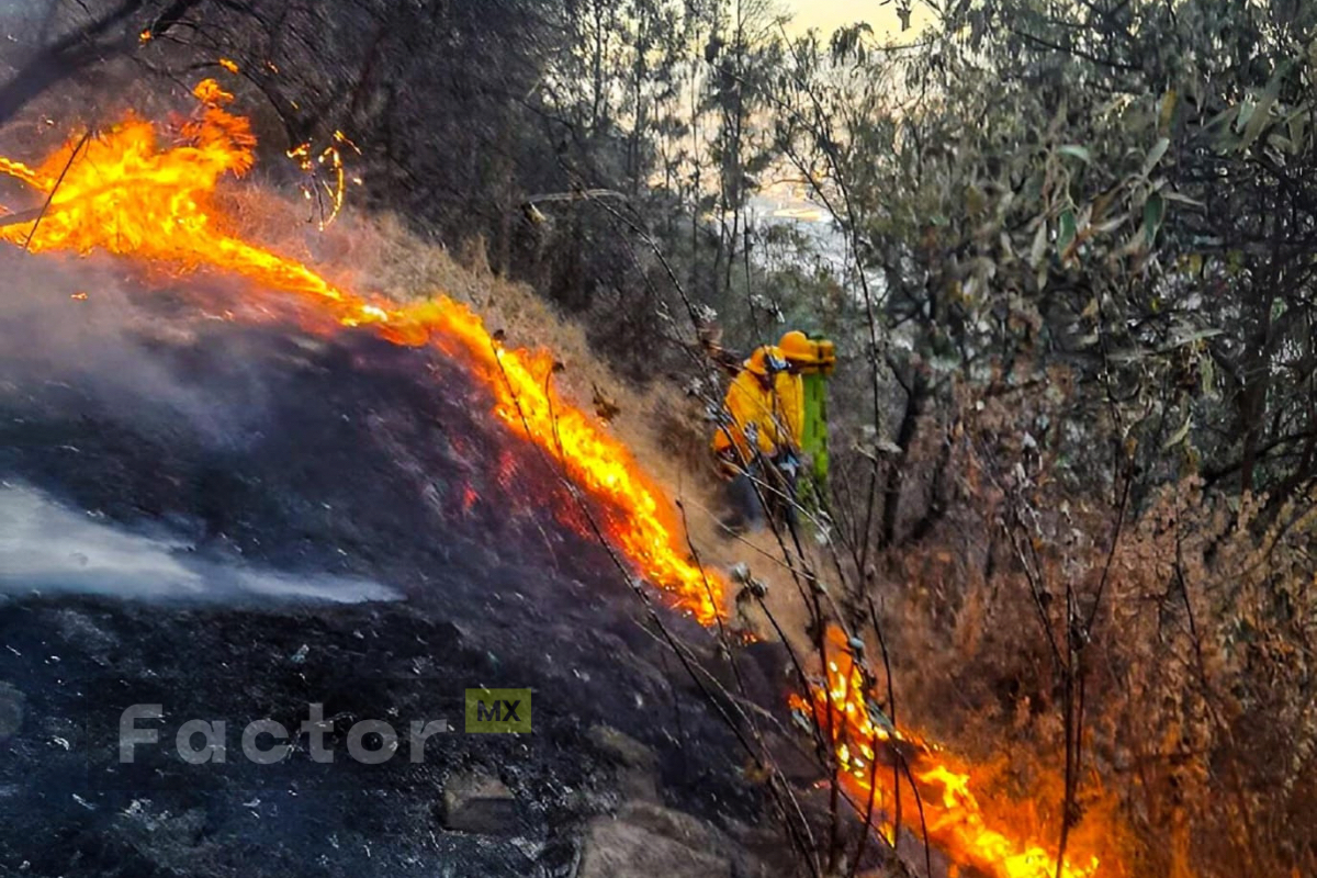 Liquidan incendios forestal en La Teresona, en Toluca