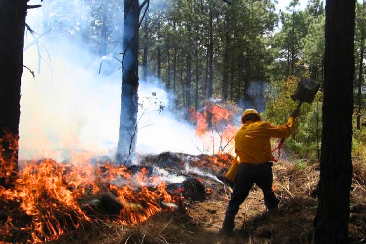 Detectan incendios forestales provocados por inmobiliarias en Edomex