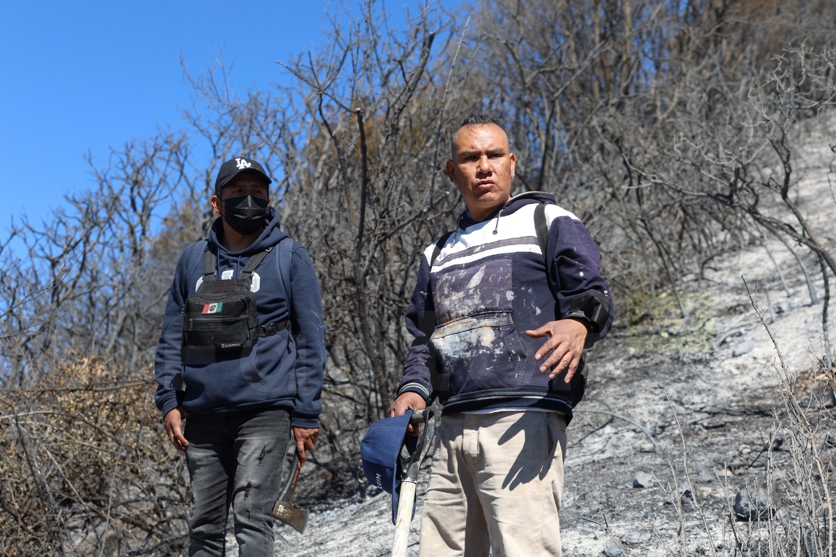 Cerró de la Verónica tras incendios