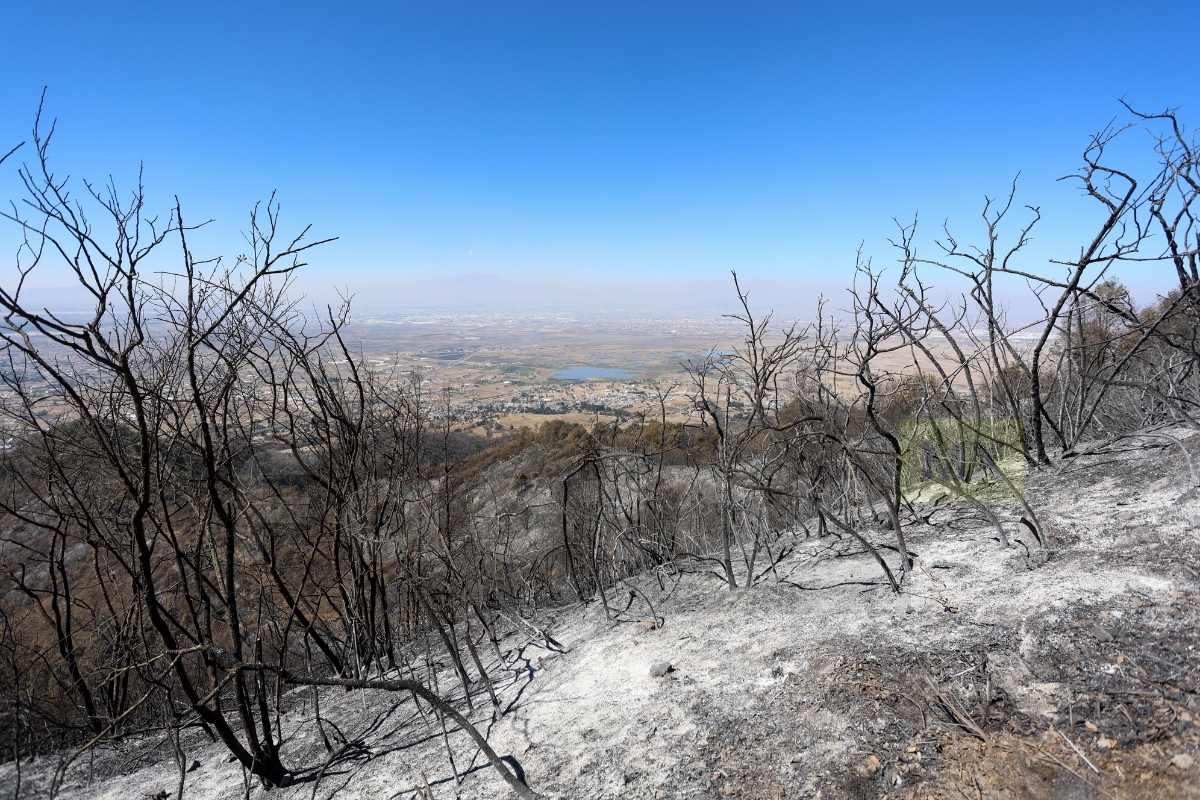 Cerró de la Verónica tras incendios