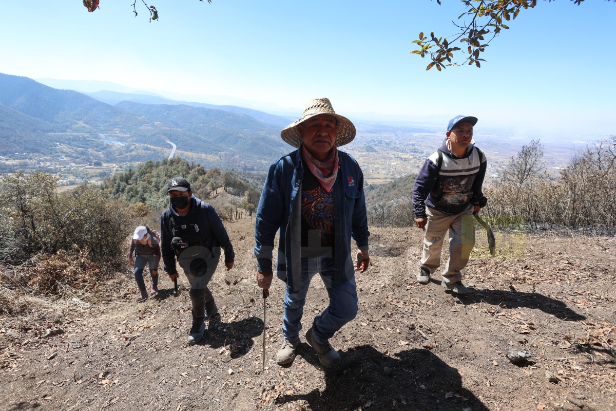 Cerró de la Verónica tras incendios