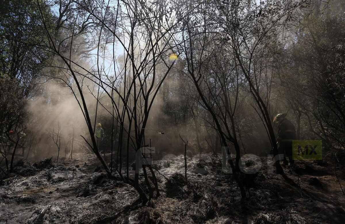 Nevado de Toluca cerrado debido a incendios forestales