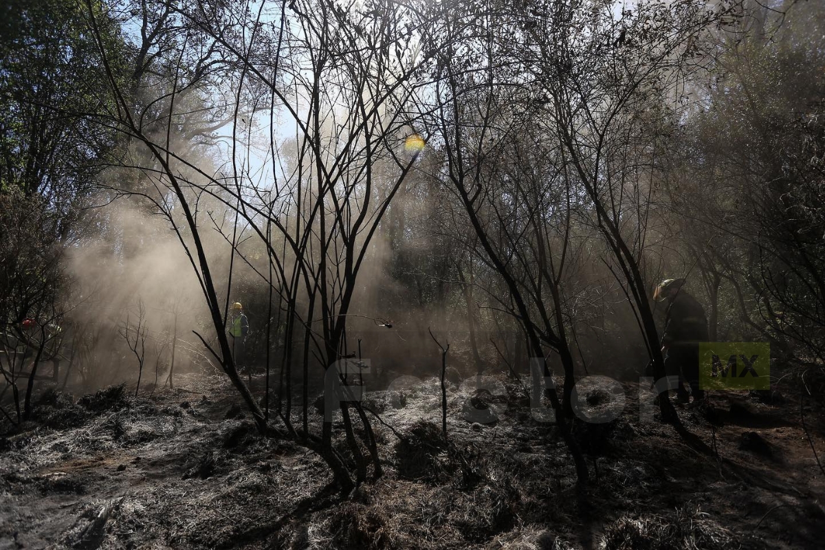 Nevado de Toluca cerrado debido a incendios forestales