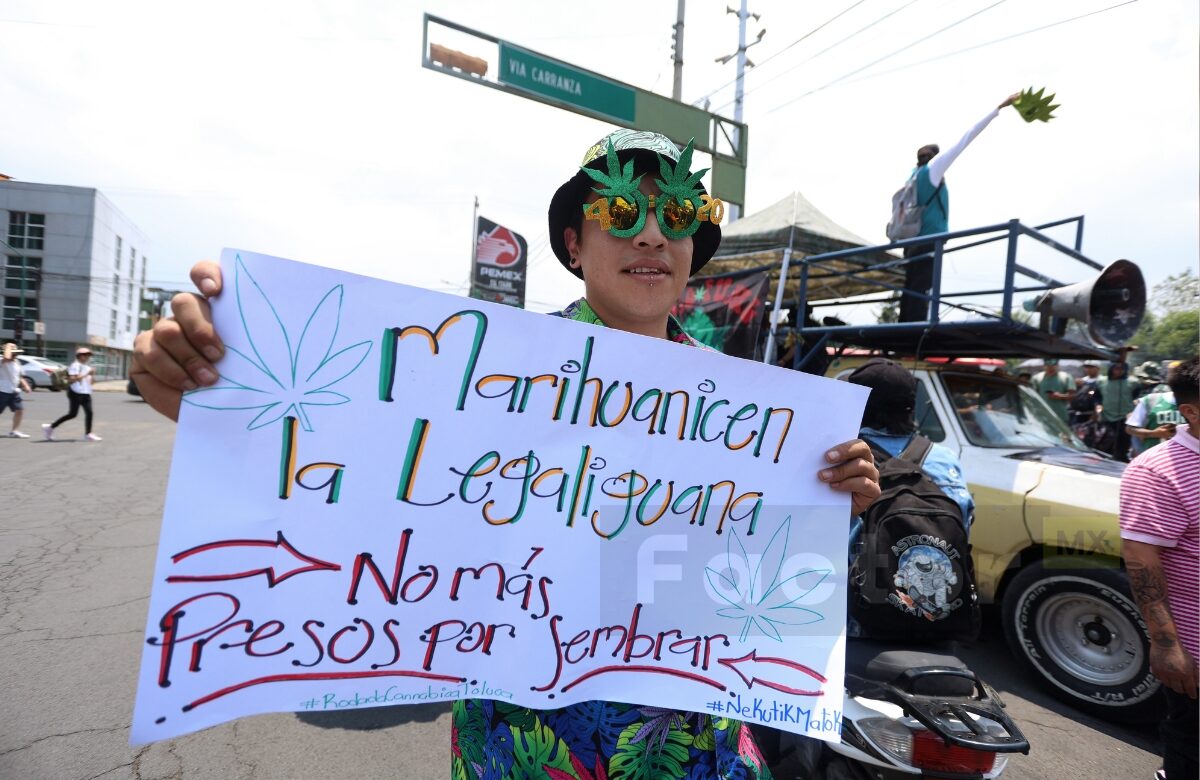 Rodada Cannábica en Toluca: Por la legalización de la marihuana