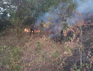 Incendio en Tejupilco no ha sido controlado