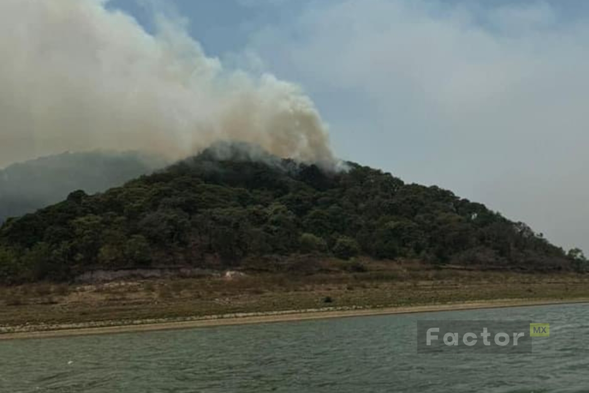 SOS por los animales afectados por incendios en Valle de Bravo