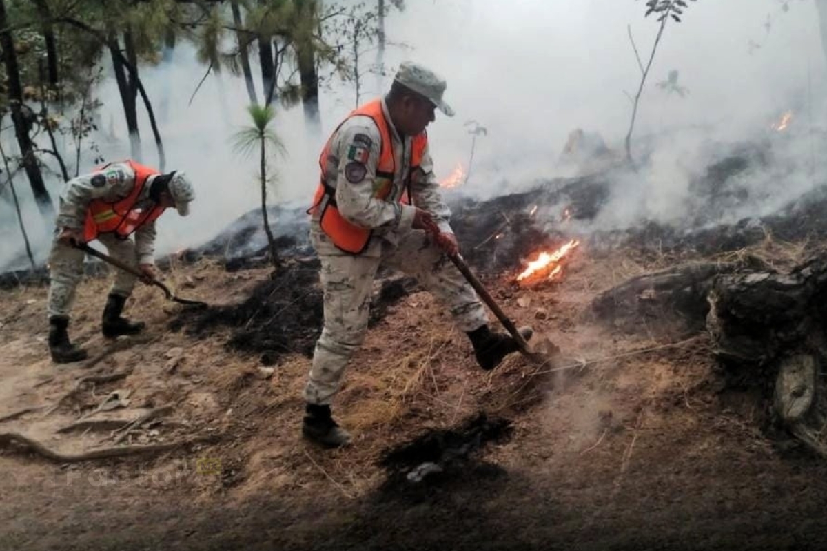 Combaten incendios en Valle de Bravo; claman por ayuda
