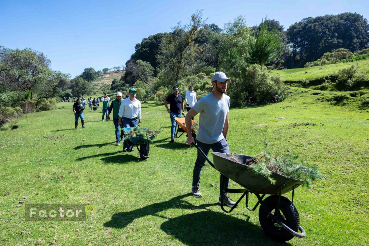 Partido Verde Edomex plantará un árbol por cada voto obtenido