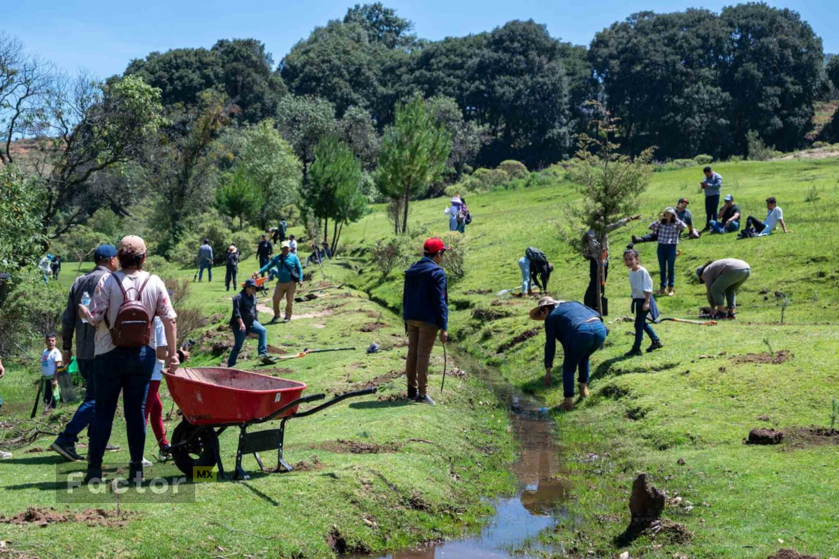 Partido Verde Edomex plantará un árbol por cada voto obtenido