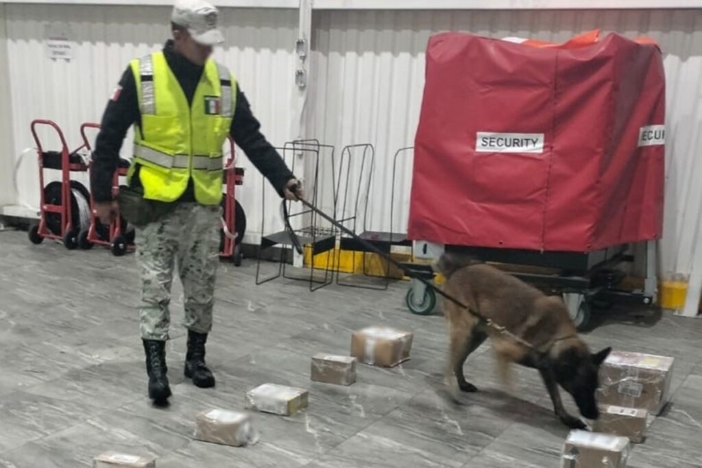 En el Aeropuerto de Toluca, detectan 16 paquetes con droga
