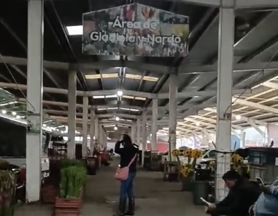 Socavón en Tenancingo afecta a floricultores y comercio local