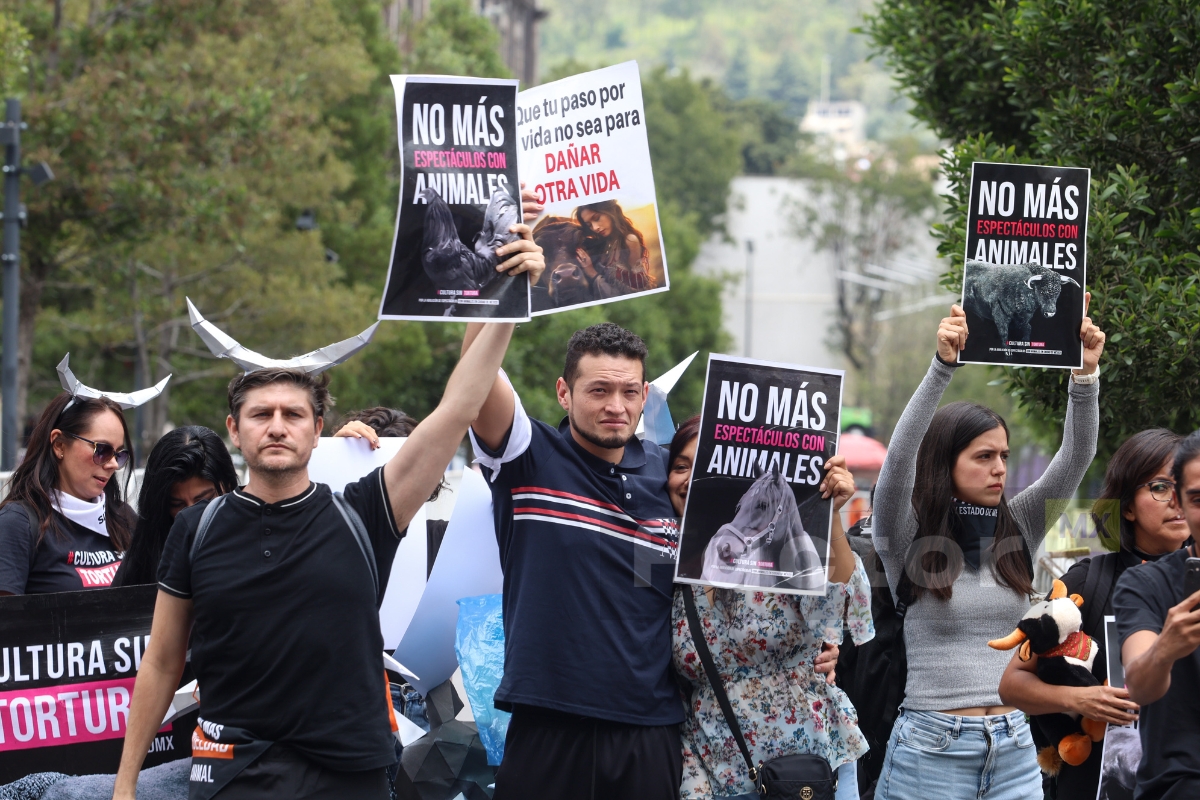 Encontronazo entre activistas y empresarios por corridas de toros