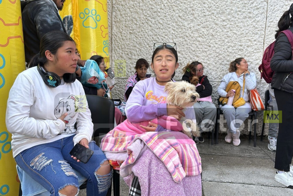 Impulsan esterilización en Toluca