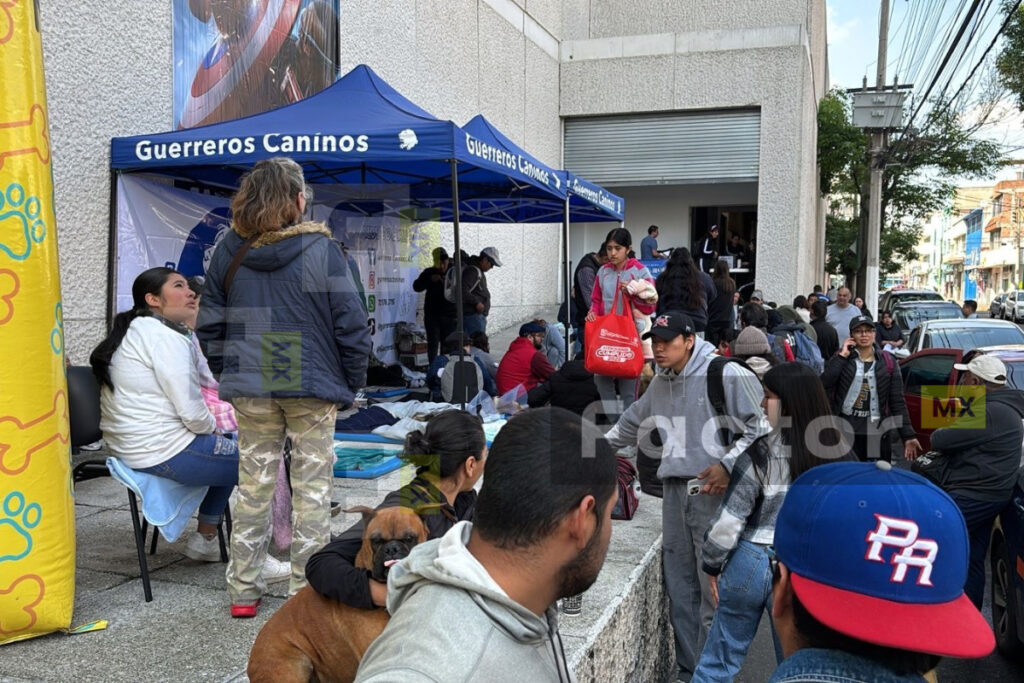 Impulsan esterilización en Toluca