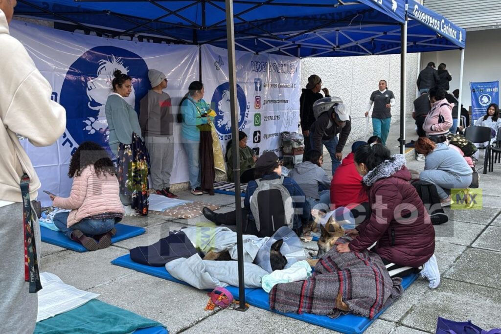 Impulsan esterilización en Toluca