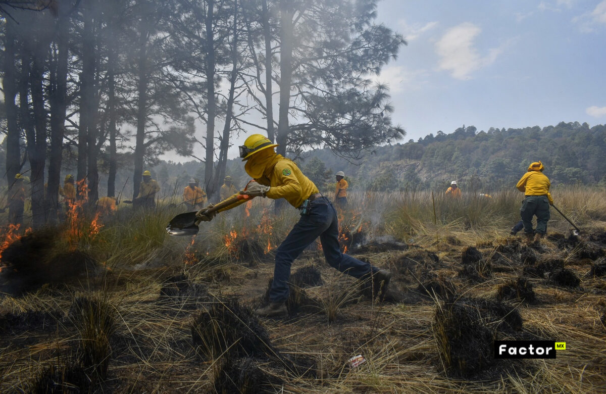 Probosque activa colecta de apoyo a brigadistas que luchan contra incendios