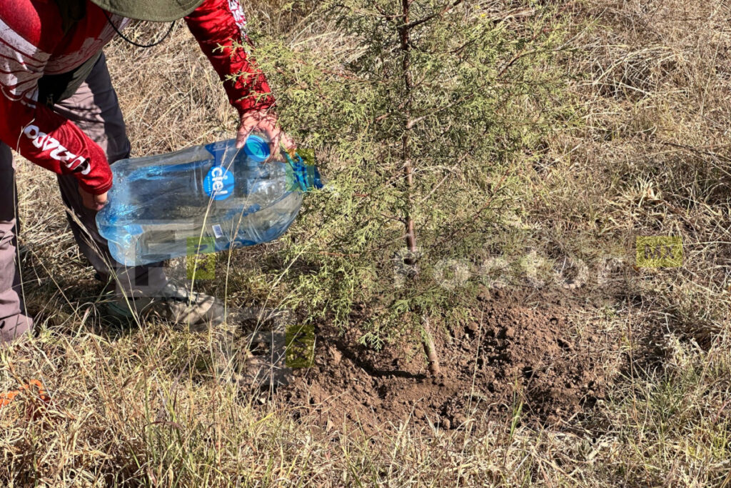 Madre Tierra: Gorriones Rojos defienden La Sierrita de Toluca