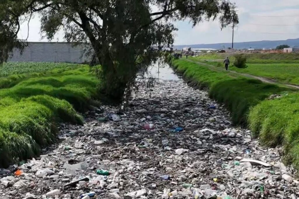 Habrá multa y detención a quienes tiren basura en Toluca