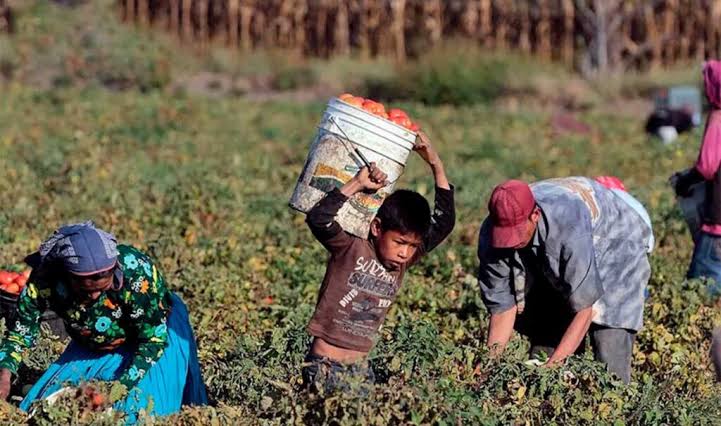 Trabajo infantil, problema estructural de desigualdad