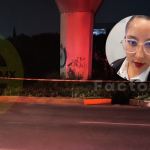Feminicidio: Identifican a mujer hallada sin vida debajo del Tren Interurbano